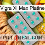 Vigra Xl Max Platinum 29